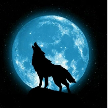 aqilin520的头像-梦楠分享