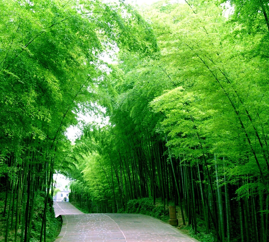 hqlin665的头像-梦楠分享