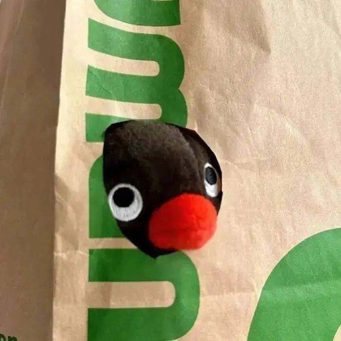 神秘人-梦楠分享