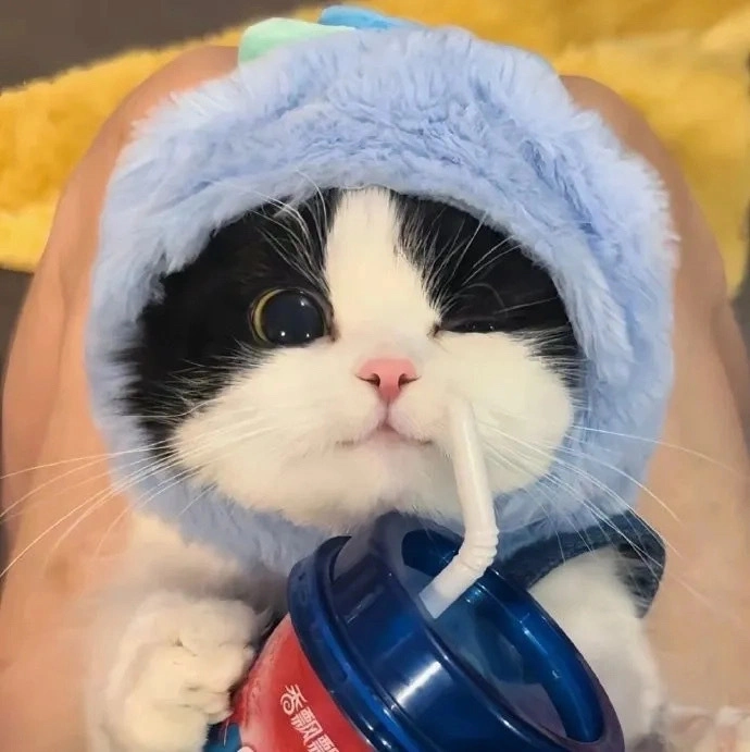 小明的头像-梦楠分享