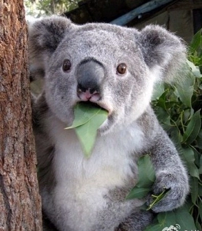 网事的头像-梦楠分享