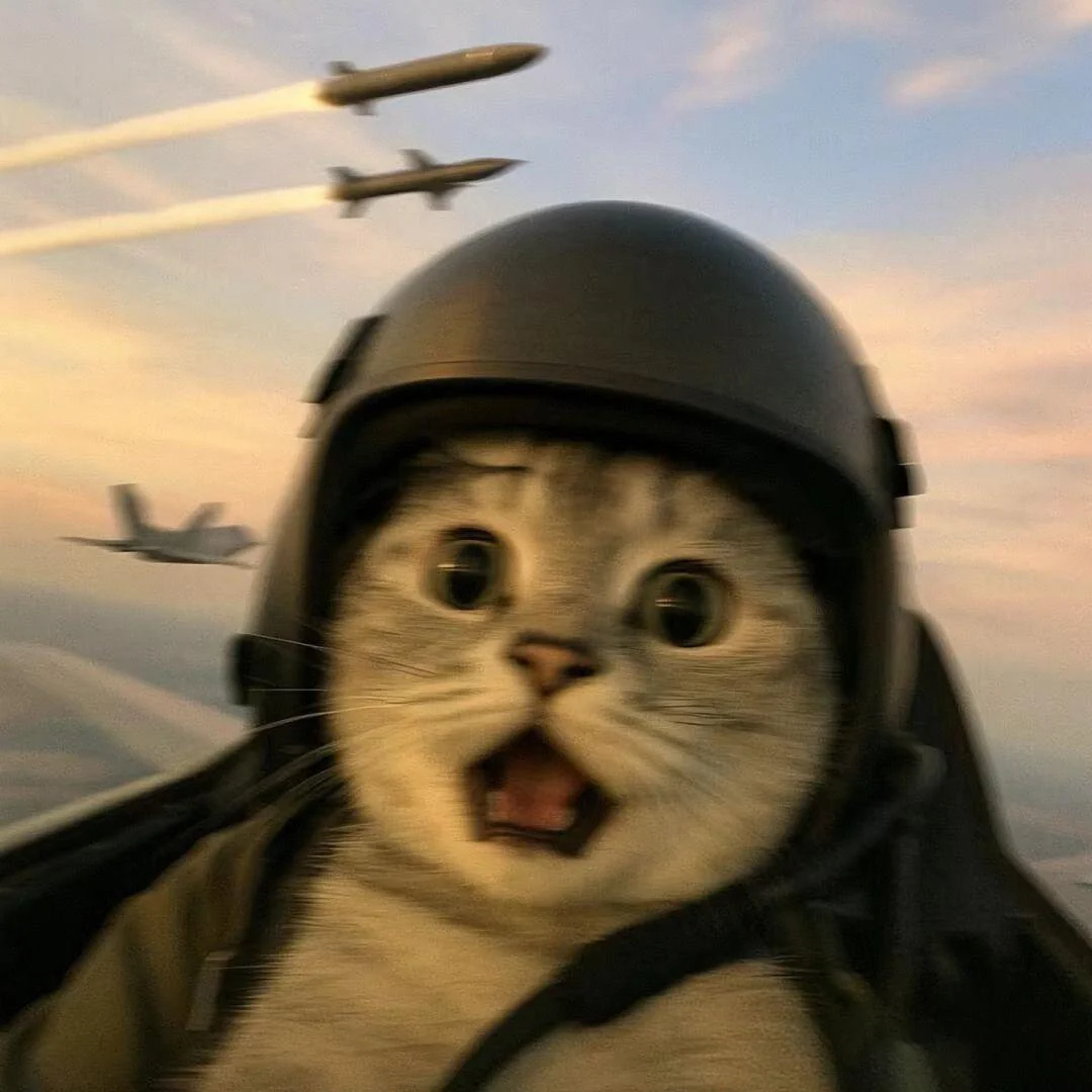 ootdyao的头像-梦楠分享