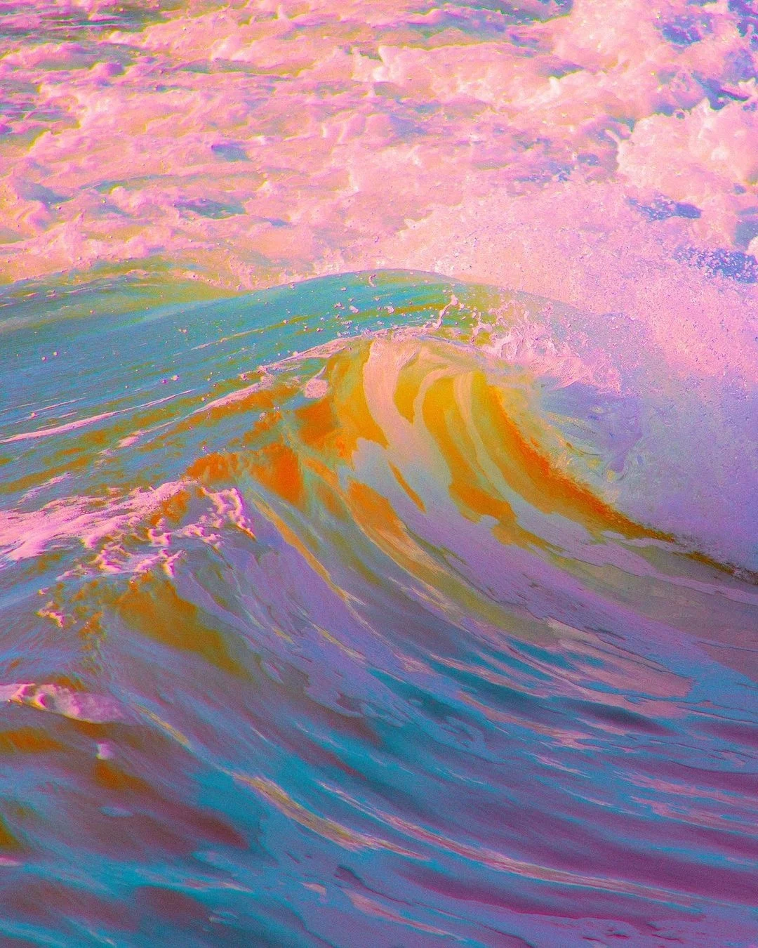 数字玫瑰的头像-梦楠分享