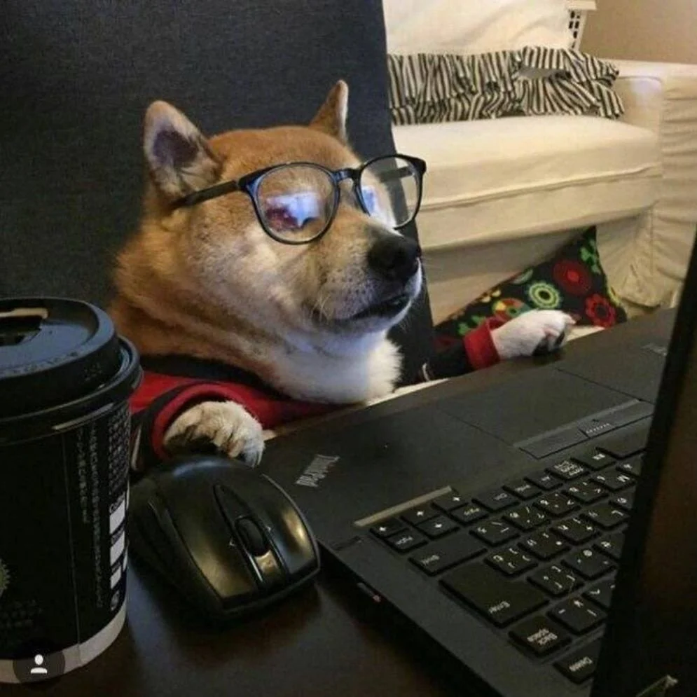 marshalwoo的头像-梦楠分享