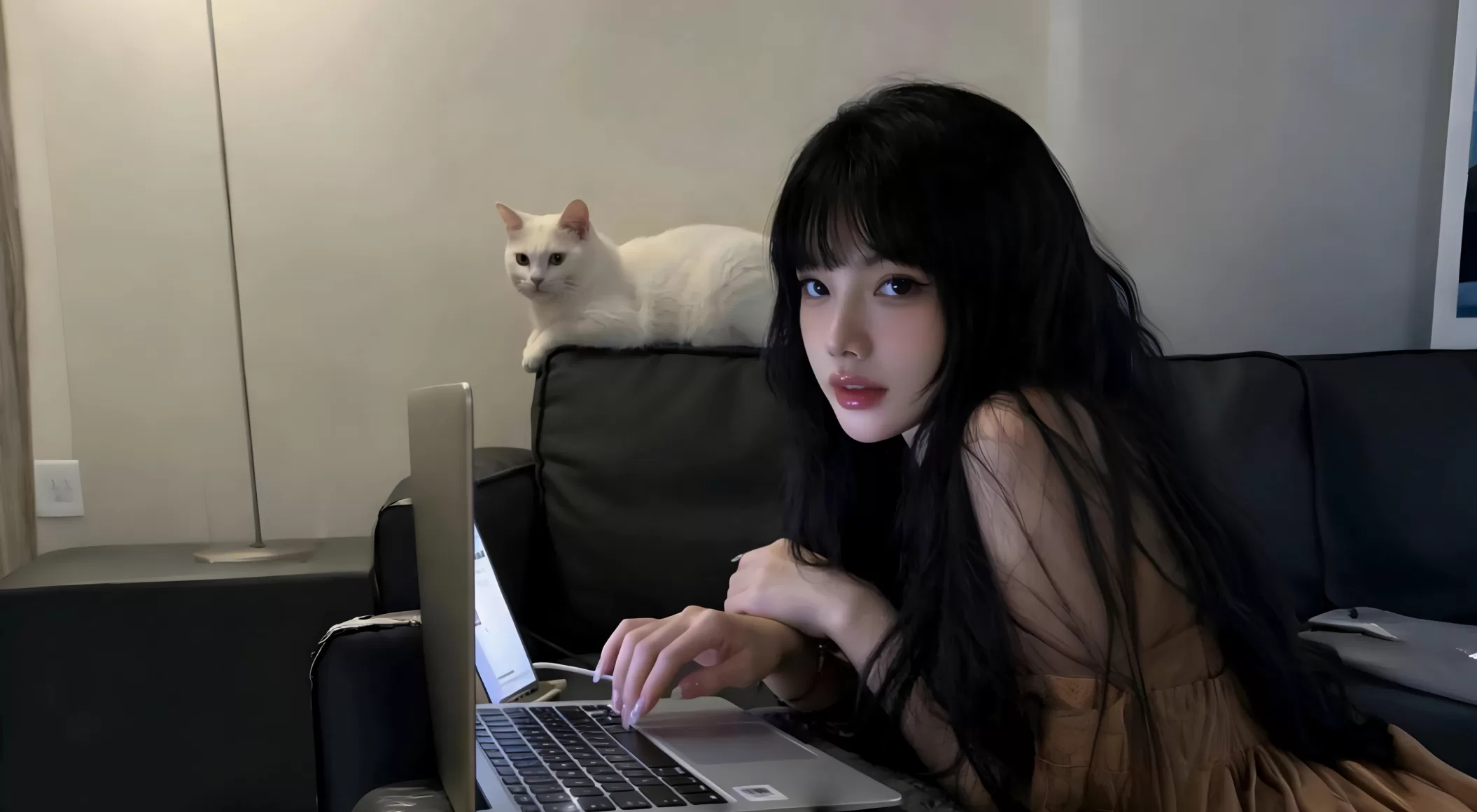 壁纸5